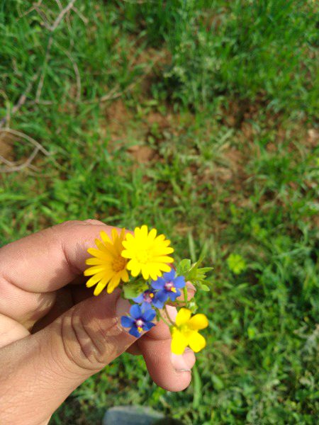 محبت اگر سچی ہو تو منزل مل ہی جاتی ہے 
خدا غرق کرے اسکو یہ جملہ جس نے بولا تھا 
#ZaRRaaR💔🥀