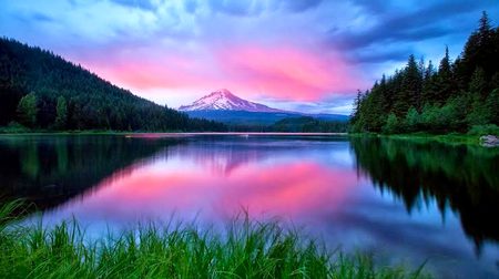 Beautiful Nature image