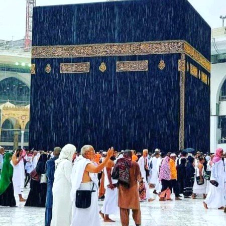 Beautiful Structures image