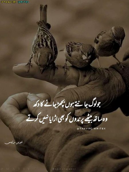 Interesting Posts image