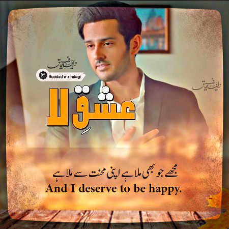 Romantic Novels image