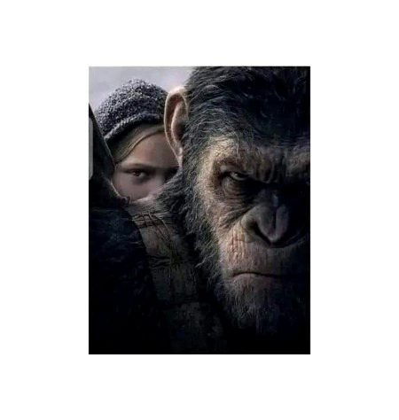 ترک تعلق کے بھی کچھ ضابطے ہوا کرتے ہیں 
جسے چھوڑ دیا جائے۔۔۔۔ اس کا ذکر حرام،،،، اس کی 
فکر حرام،،،،، بس اجتناب واجب۔۔۔
🖤🔥