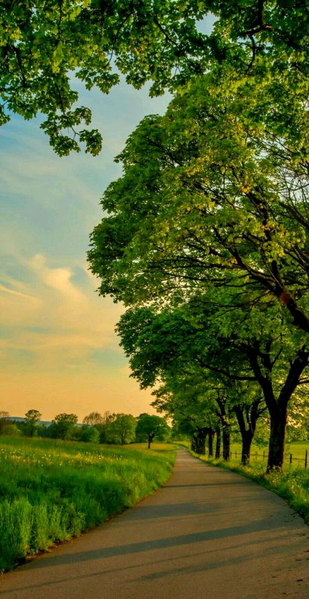 Beautiful Nature image