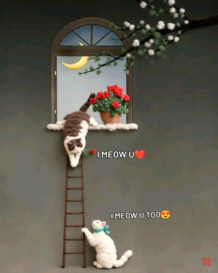 "A note from you, and a thousand smile from me😍💕💥💐