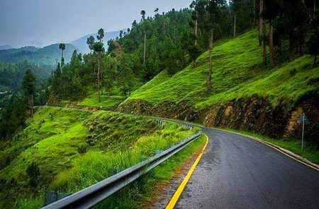 Beautiful Nature image