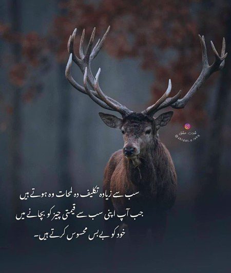 Life Advice image