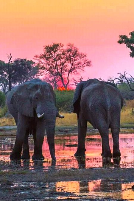 Beautiful Nature image