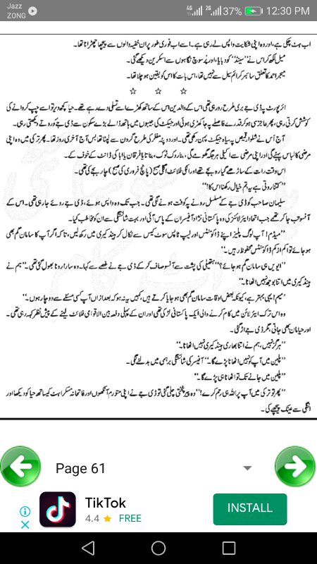 ناول جنت کے پتے