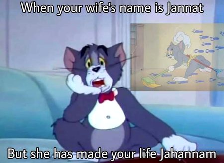 Memes & Satire image