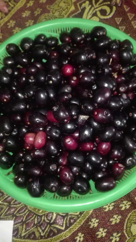 Beautiful Nature image