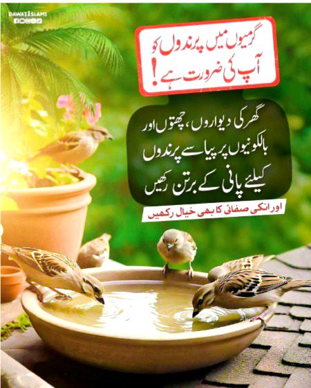 INSHALLAH hm to Rakhen gy🤲🏽🤲🏽