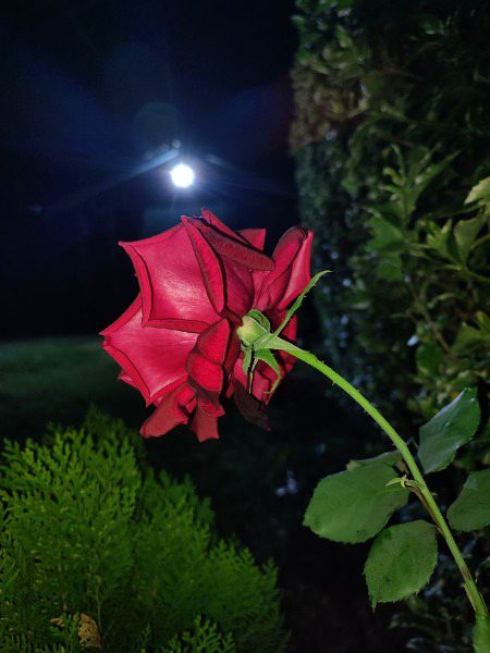 Beautiful Nature image