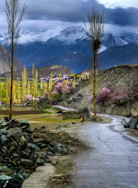 Beautiful Nature image