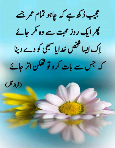 Sad Poetry image