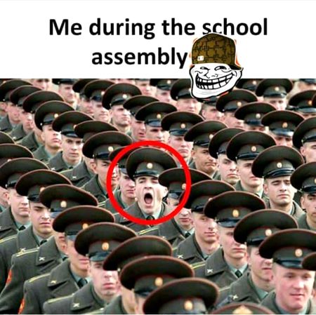Memes & Satire image