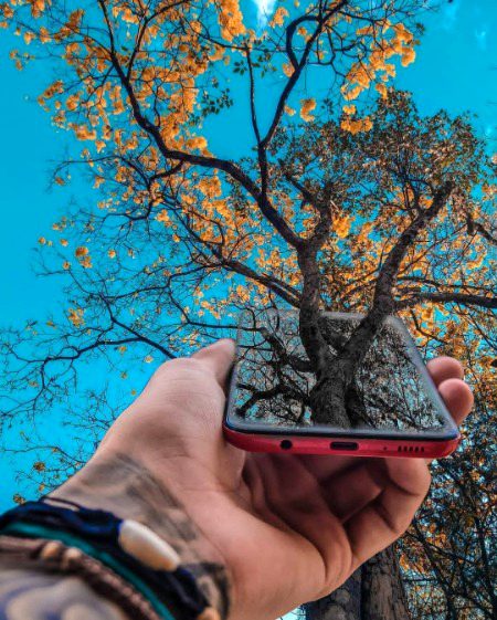 𝓝𝖆𝖙𝖚𝖗𝖊 𝖎𝖘 𝖆𝖓 𝖆𝖗𝖙𝖎𝖘𝖙 🎨