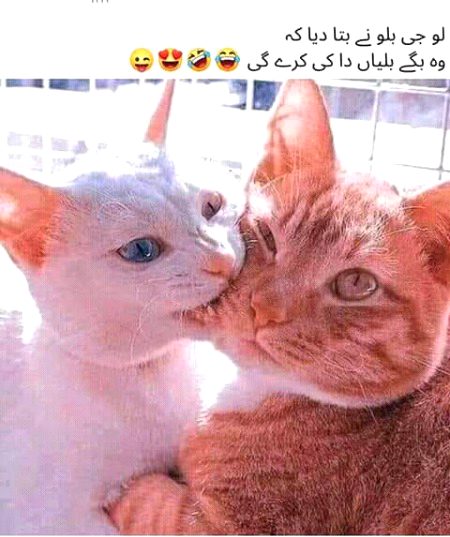 Lo pata chal gya...