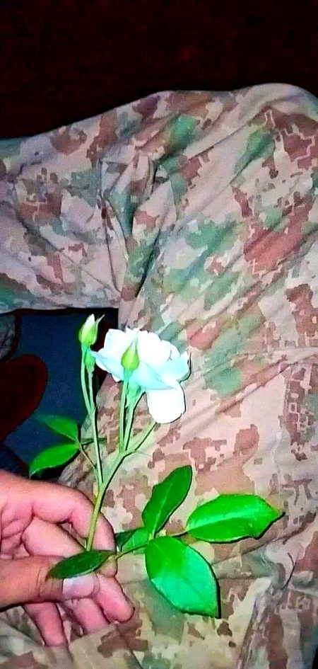 کاش تم پٹھانی ہوتی🙈🙈🙈
 تو میں تمہیں کہتا زہ تاسرہ مینہ کوم 😟