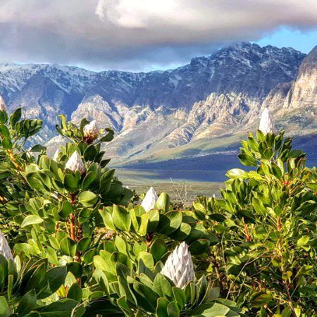 Beautiful Nature image