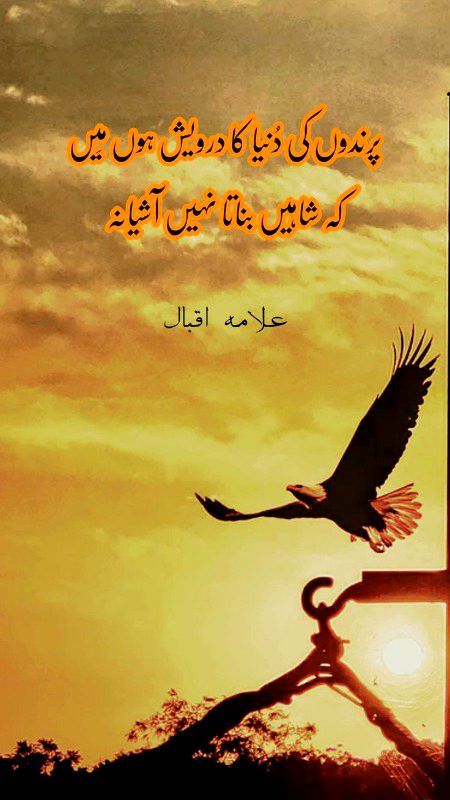 Attitude Poetry image