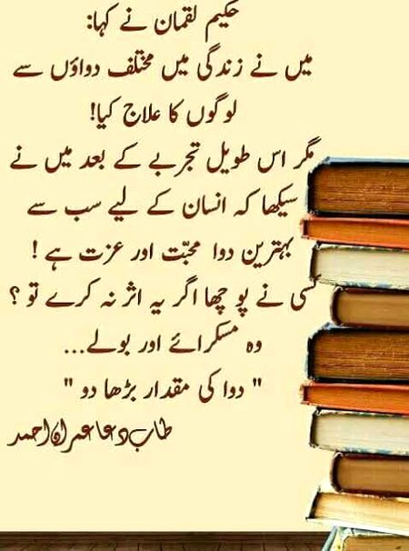 🍁Zoq_Shab🍁
