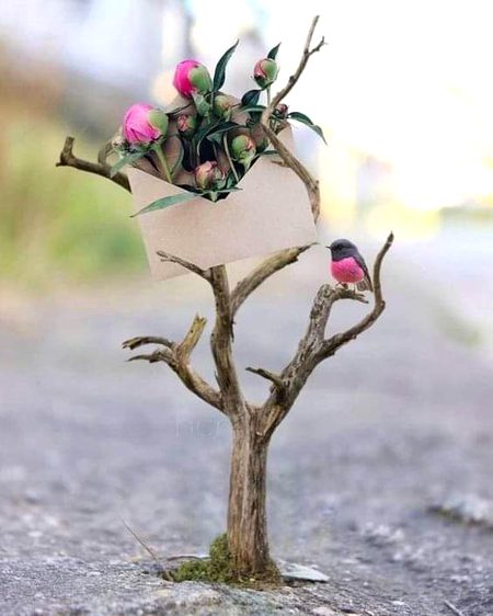 Beautiful Nature image