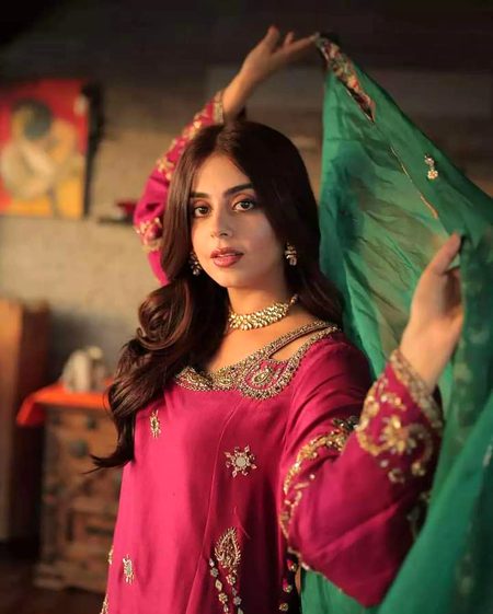 Pakistani Celebs image