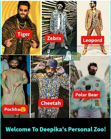 Memes & Satire image