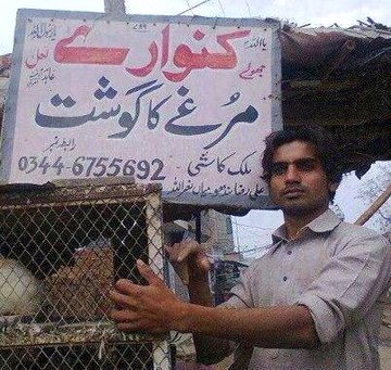 Memes & Satire image