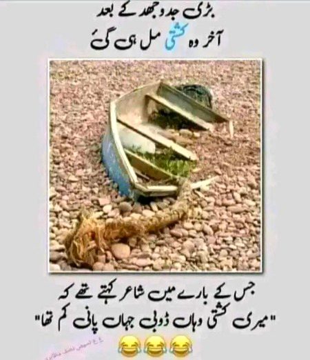 Memes & Satire image