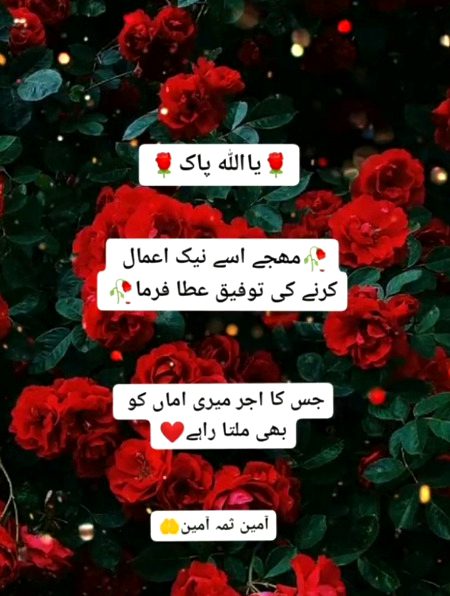 Aamin 🤲