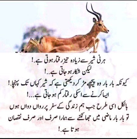 Motivational Quotes image