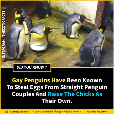 Interesting Posts image