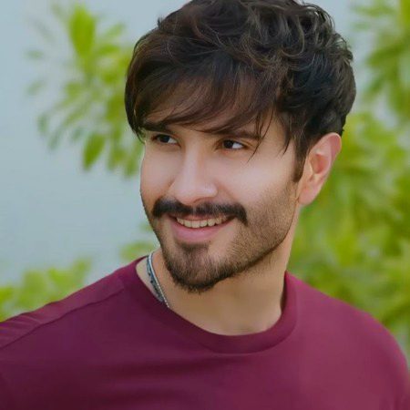 Pakistani Celebs image