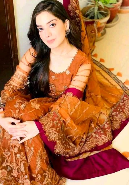 Pakistani Celebs image