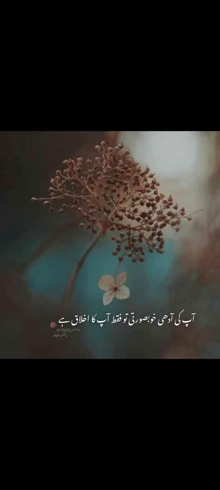 Motivational Quotes image