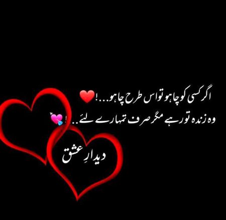 Saanaam ❣️❣️