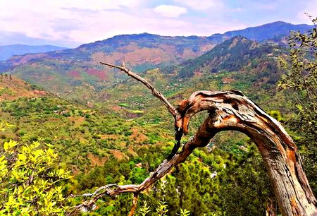 Beautiful Nature image