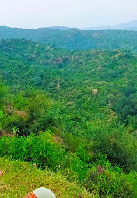 Ya dkho Heer aj idr thi