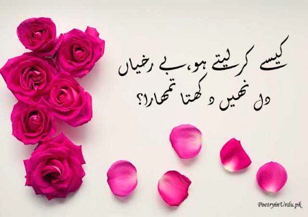 Bht zalimm hy log