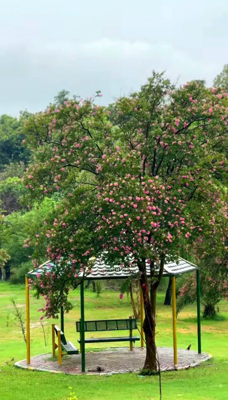 Beautiful Nature image