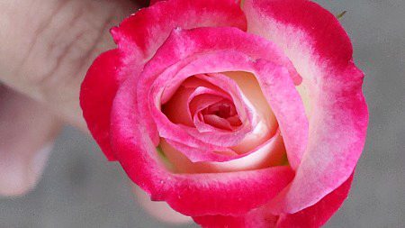 Acha laga to like zaror kari 🤭