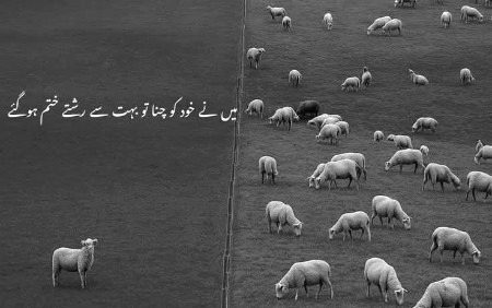 ```Don't be serious about society```
"جن لوگوں نے حساب ہی غلطیوں کا رکھنا ہوتا ہے"
اُن کو خاک پتہ ہوگا تُم نے اچھائی کون سی کی تھی..!!!
~🍂🤎