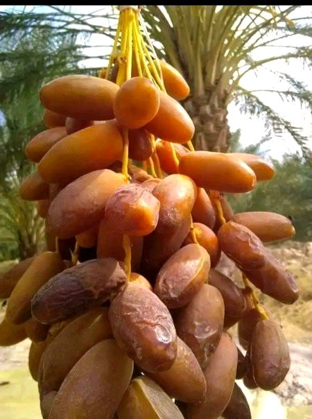 Beautiful Nature image