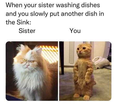 Memes & Satire image