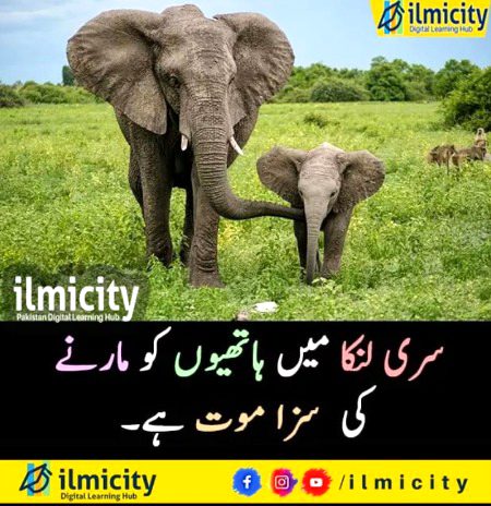 Interesting Posts image