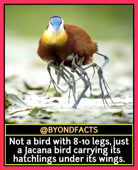 Interesting Posts image