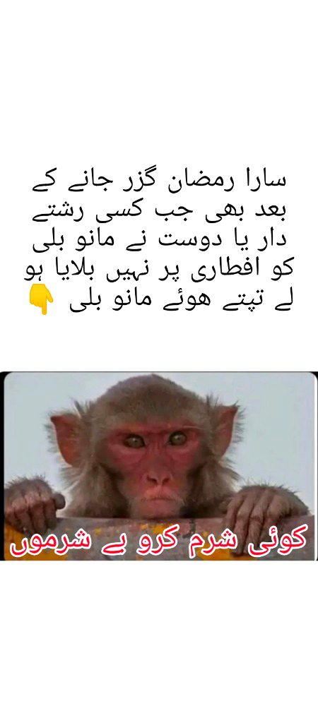 Damadam Roasting image