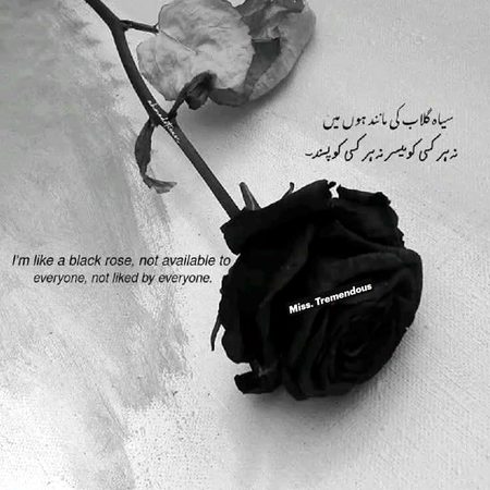 Attitude Poetry image