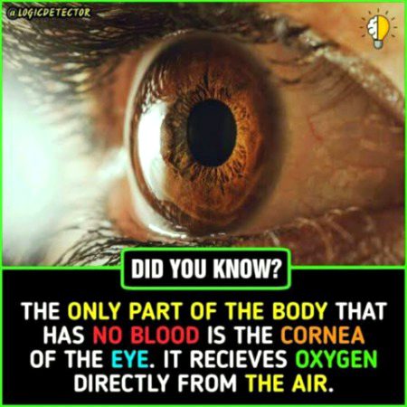 Interesting Posts image